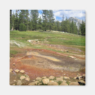 Íman Primaveras quentes em Tuolumne Meadows, Yosemite,