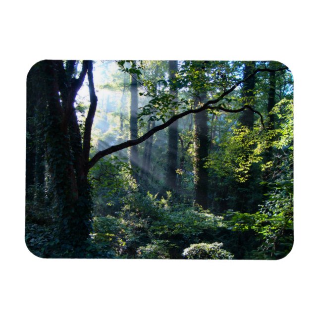 Íman Primeiro ímã flexível leve (Horizontal)