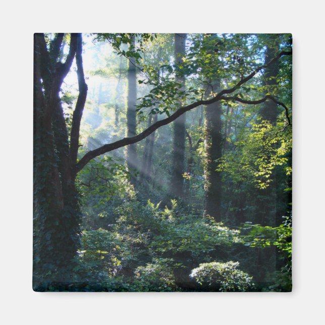 Íman Primeiro Magneto Leve (Frente)