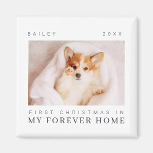 Íman Primeiro Natal de Pet em Quic Moderno para sempre