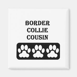 Íman Primo Border Collie