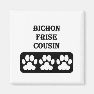 Íman Primo do Bichon Frise