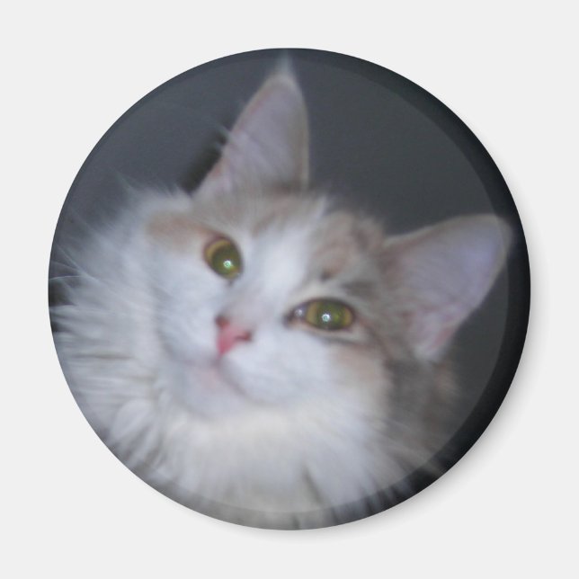 Íman Princesa do Calico (Frente)