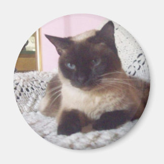 Íman Princesa no sofá