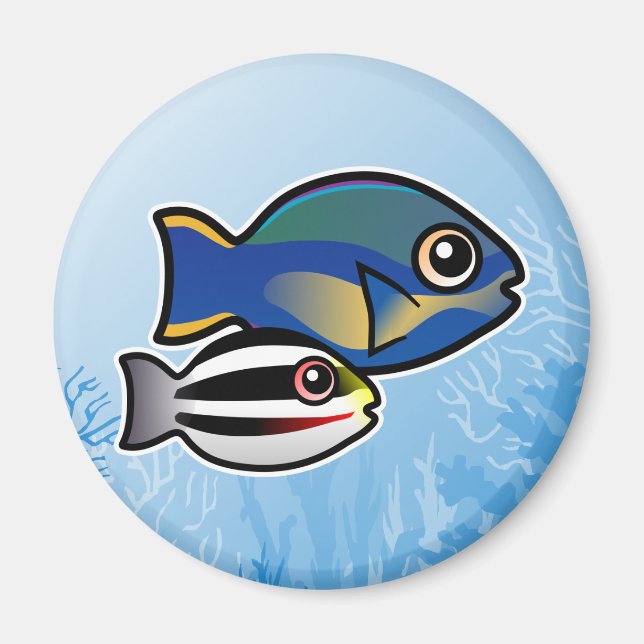 Íman Princesa Parrotfish (Frente)