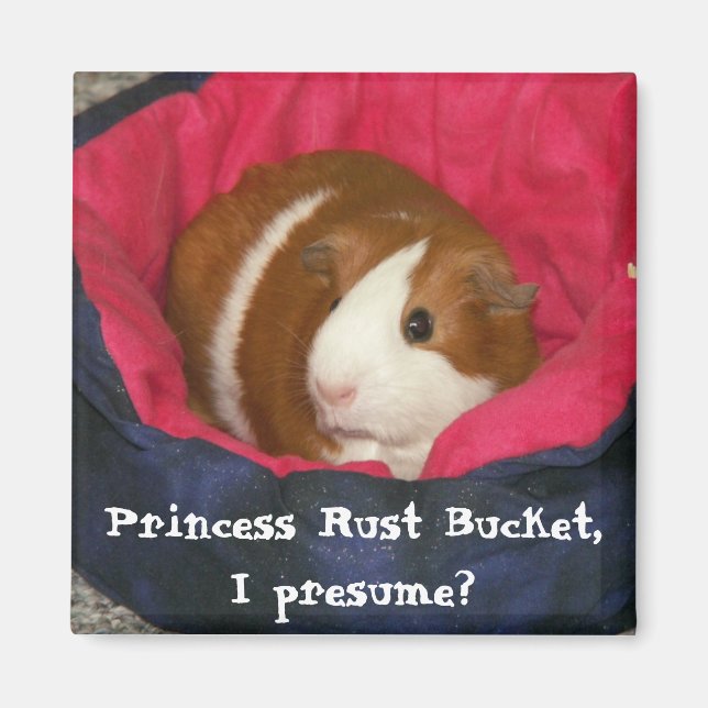 Íman Princesa Rust Balde, presumo? (Frente)