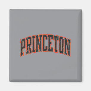 Íman Princeton Nova Jersey Design Vintage Homens Mulher