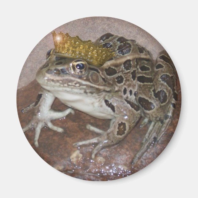 Íman Príncipe Sapo (Frente)