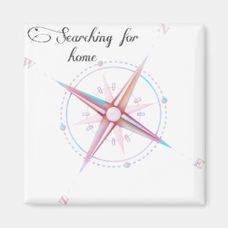 Íman Procurando por bússola doméstica