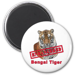 Íman Produtos de Tigre Bengala Ameaçados