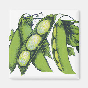 Íman Produtos Hortícolas Vintage; Feijões-Lima, Comidas