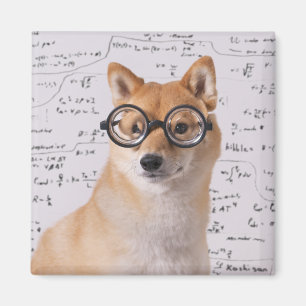 Íman Professor Barkley ímã do quadrado de 2 polegadas