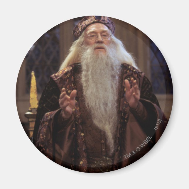 Íman Professor Dumbledore (Frente)