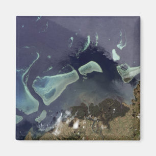 Íman Profundamente - floresta verde na terra