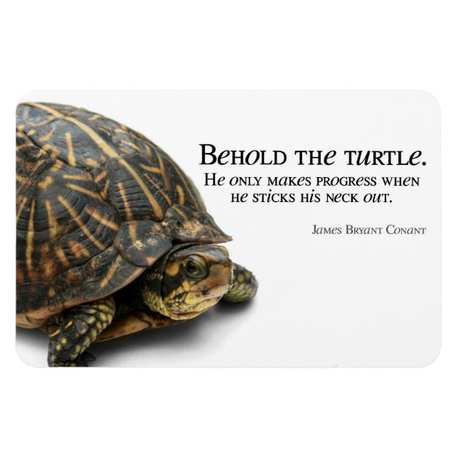 Íman Progresso (Horizontal)