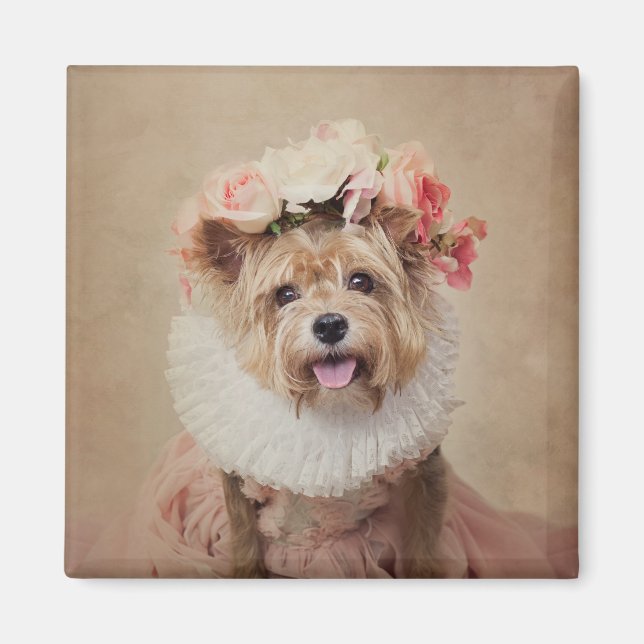 Íman Projeto Pets de abrigo - Críquete (Frente)