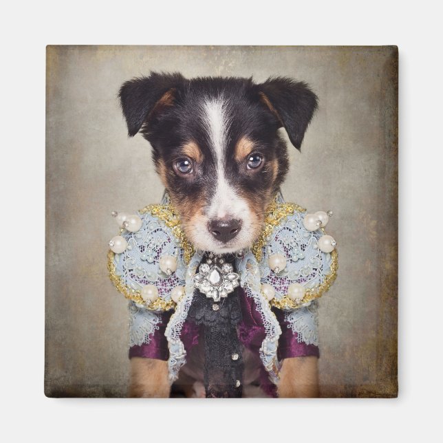 Íman Projeto Pets de abrigo - Loki (Frente)