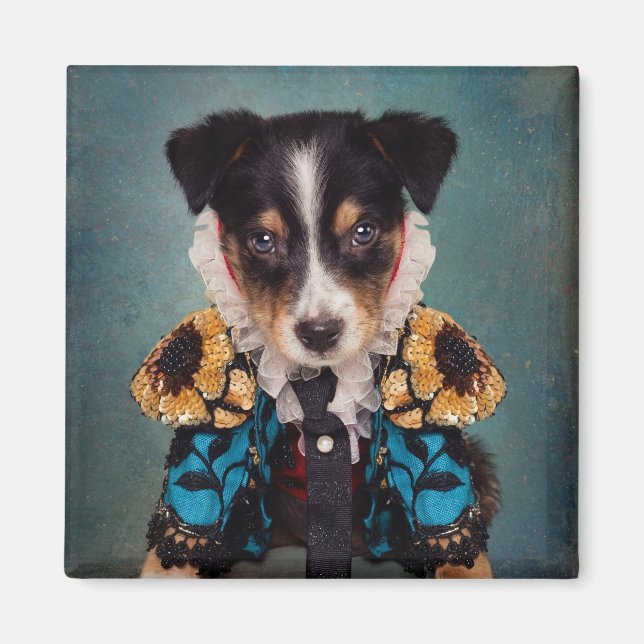 Íman Projeto Pets de abrigo - Loki (Azul) (Frente)