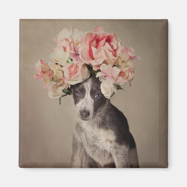 Íman projeto Pets de abrigo - Opal (Frente)