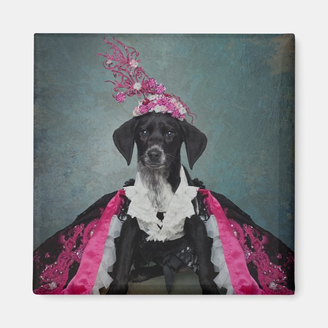 Íman Projeto Pets de abrigo - Pepper (Frente)