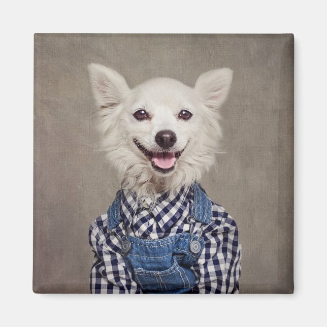 Íman Projeto Pets de abrigo - Tonka (Frente)