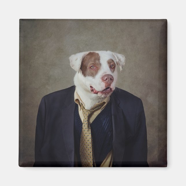 Íman Projeto Shelter Pets - Casanova (Frente)