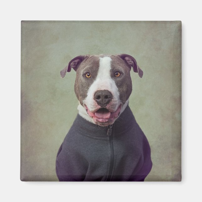 Íman Projeto Shelter Pets - Major Good Boy (Frente)