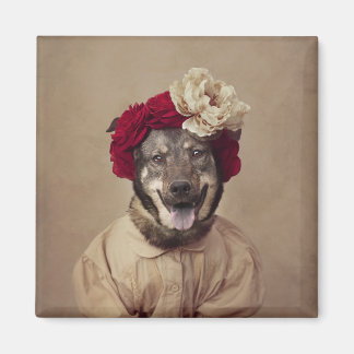 Íman Projeto Shelter Pets - Sra. Smith