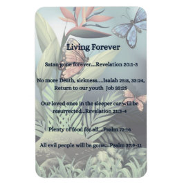 Íman Promessa futura