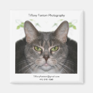 Íman Promo de Stella