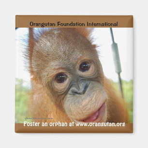 Íman Promoção animal órfão do primavera