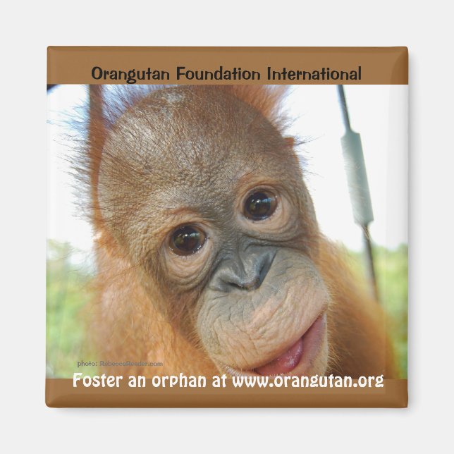 Íman Promoção da Primavera de animais órfãos (Frente)