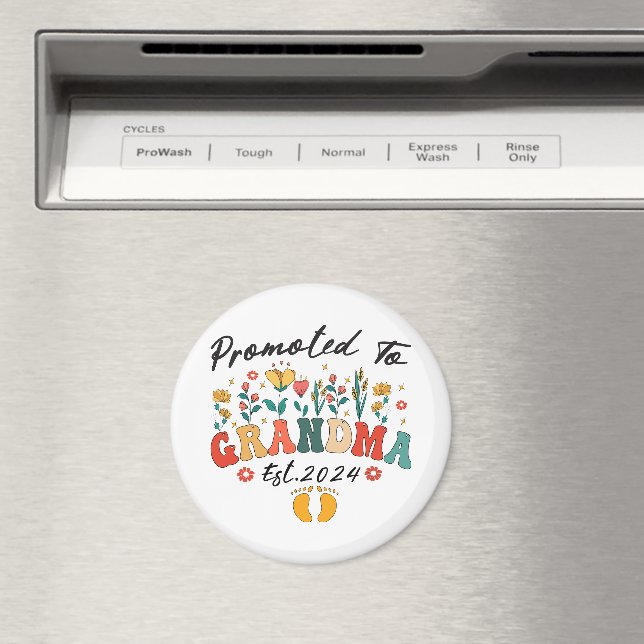 Íman Promovida para Avó desde 2024 EnfeiteParaAvós (In Situ (Dishwasher))