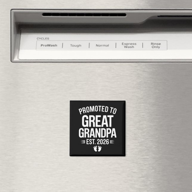 Íman Promovido a Bisavô Est 2026 Gravidez Bebê (In Situ (Dishwasher))