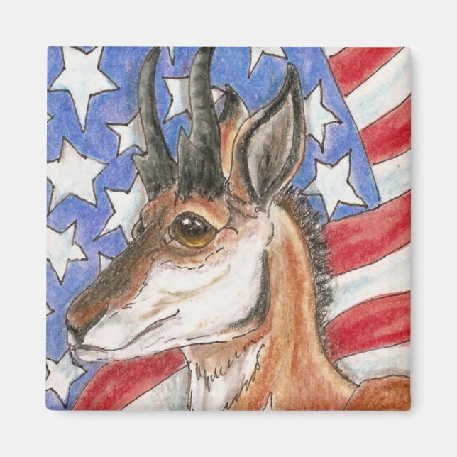 Íman Pronghorn Antelope Americana Wildlife Art (Frente)