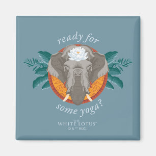 Íman Prontos para um pouco de ioga? - O Lotus Branco