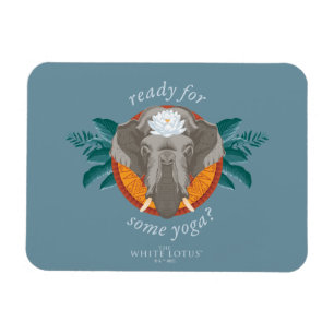 Íman Prontos para um pouco de ioga? - O Lotus Branco