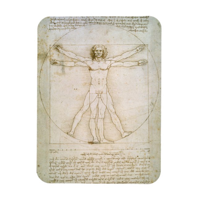 Íman Proporções do número humano (Vertical)