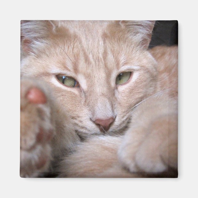 Íman Proporções Legendárias (Frente)