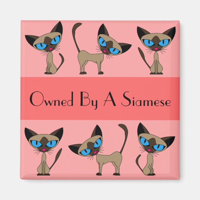 Íman Propriedade De Um Magneta Siamês (Frente)