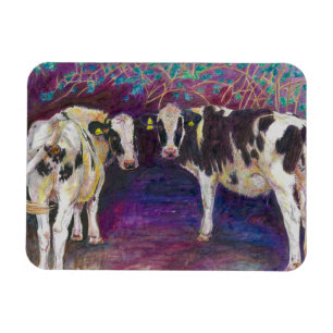 Íman Protegendo as vacas 2011