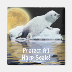 Íman Proteja Todas As Focas Harp! Magneta Selvagem