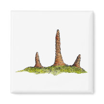 Prototaxites Fungi Magnet