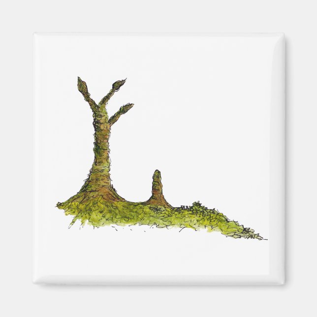 Íman Prototaxites Lichens Magnet (Frente)