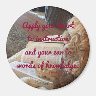 Íman Provérbios 23:12 ímã