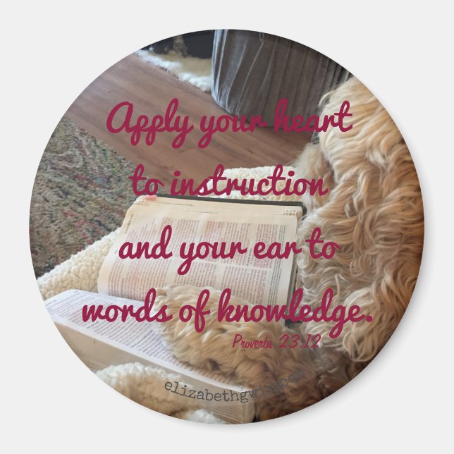 Íman Provérbios 23:12 ímã (Frente)