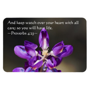 Íman Provérbios 4:23