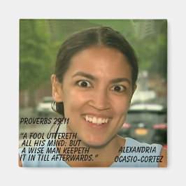 ÍMAN PROVERBS 29:11