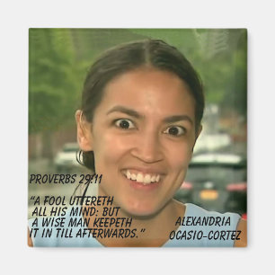 ÍMAN PROVERBS 29:11