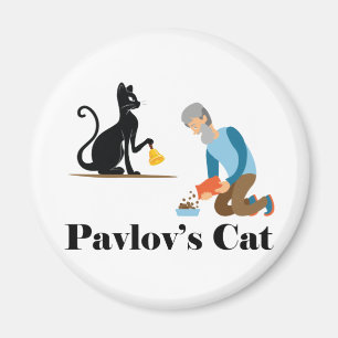Íman Psicologia Gata de Pavlov